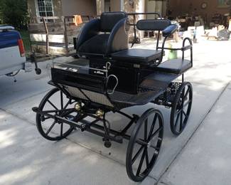 4 seat Marathon horse carriages is a Glinkowski