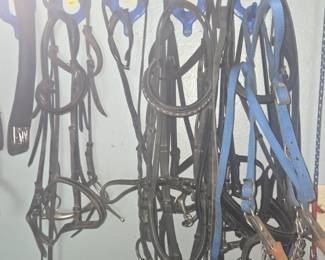 More horse tack