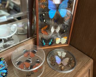 Butterfies