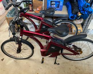 Electric assit bikes