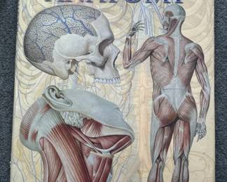 Lot # : 691 - Large Human Anatomy book