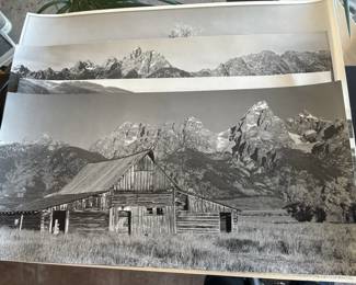 Lot # : 825 - 5 Gelatin photos by photographer Evan Deutsch