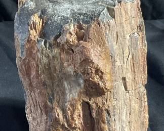 Lot # : 372 - Petrified wood specimen