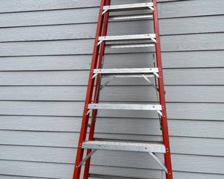 12 Foot Aluminum Ladder