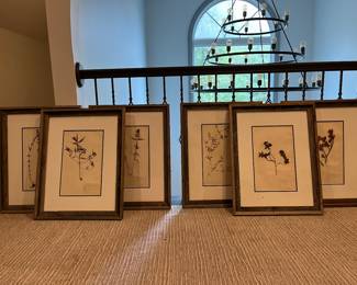 Pressed Flower Art in Barn Wood Frames