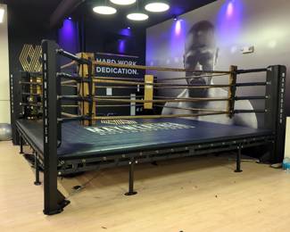"Mayweather Boxing + Fitness" Standard Boxing Ring With Skirting, Approx 25' x 20'