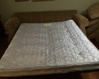 Alan White sleeper couch, looks queen sized