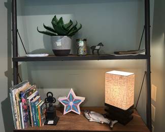 Books, decor close ups on shelf in living room + lamp
