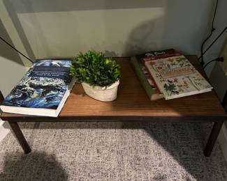 Living room items on bottom shelf 