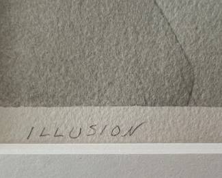 "15. Signed Mixed Media ""Illusion” Art (20” x 14.5”) Mat (28.5” x 23”)
"