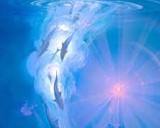 of consciousness and light