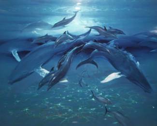 John Pitre Lords of the Deep Embellished