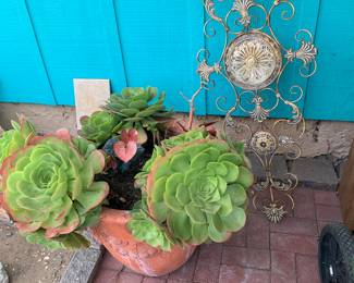 potted plants and outdoor decorations