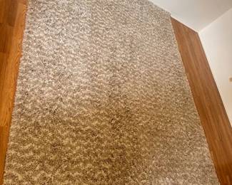 $250 new high pile carpet 8x10