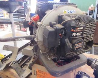 Echo Backpack Blower