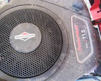 Briggs & Stratton Engine