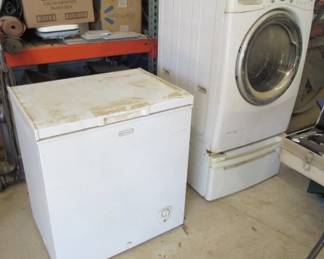 Chest Freezer & Washing Machine