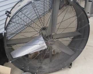 Shop Fan