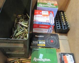 Assorted Ammo