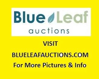 Blue Leaf