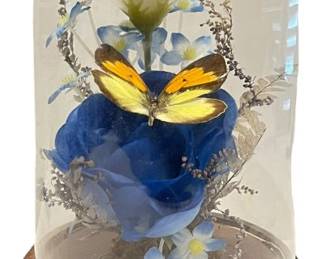 Butterfly Rose Under Glass