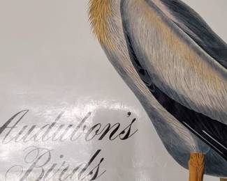 Audubon's Birds of America book