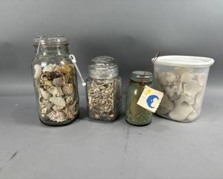 Lot 260 | Vtg Sea Shells & More
