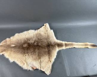 Lot 57 | Vintage Fur Pelt
