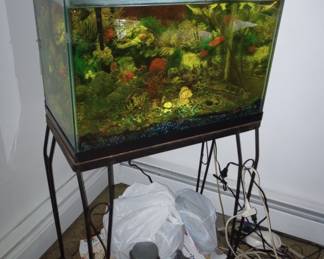 A Fully Functioning Tropical Fish Tank, 