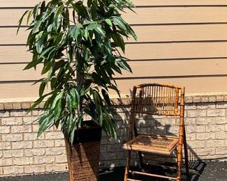 Fold Up Chair And A Faux Plant