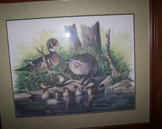 DUCKS PRINT