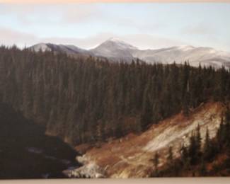 79 - Oil on Board - 24" x 36"
