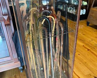 Original Walking Cane Case 