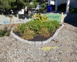 Belgian blocks; plants