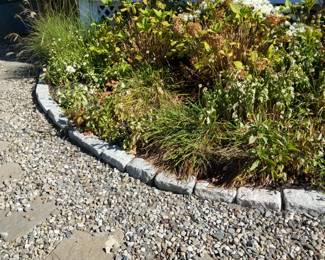 Belgian blocks; plants