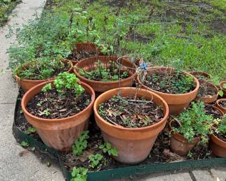 Terracotta Flower Pots