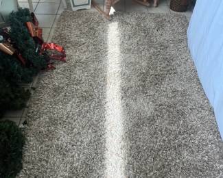 Shag rug (with sunshine)