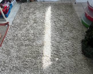 Shag rug (with sunshine)