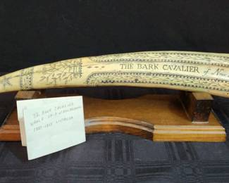 The Bark Cavalier Whale Ship Bone Display 