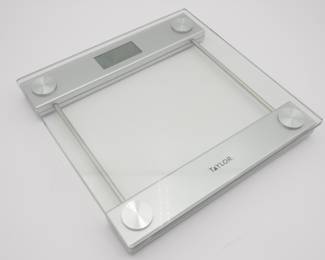 Taylor Precision Scale

