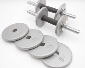 Set of 2 Adjustable Dumbbells with 30lbs of Weights