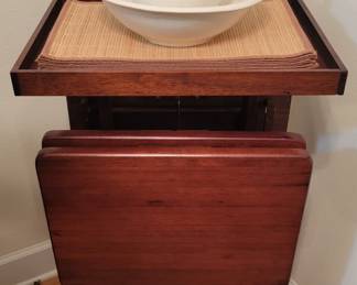 TV Trays with Holder