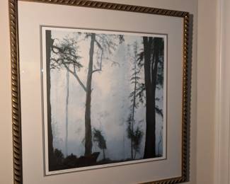 Forest of Shadows - Jill Roseau Tishman