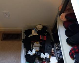 Items Located In The 1st Bedroom ( MASTER) Walk In Closet