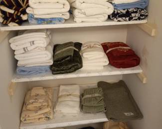 Items Located In The Hallway Bathroom