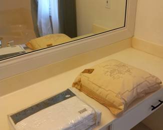 Items Located In The Hallway Bathroom