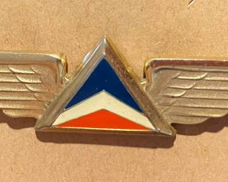 Vintage DELTA AIR LINES Flight Attendant Wings Authentic Name Bar