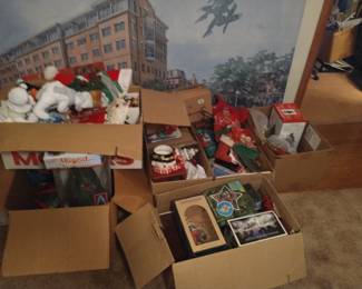 Hundreds of Christmas pics. 