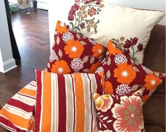 Colorful Throw Pillow Ensemble