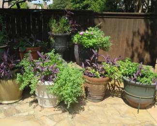 Large planters with plants